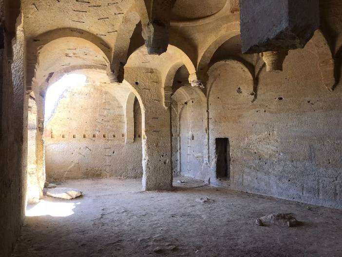 Gümüşhane’nin Sümela’sı Çakırkaya Manastırı kuşlara yuva oldu 7